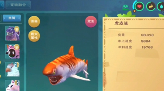 创造与魔法水中坐骑有哪些