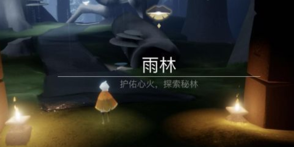 光遇萌新怎么进入雨林